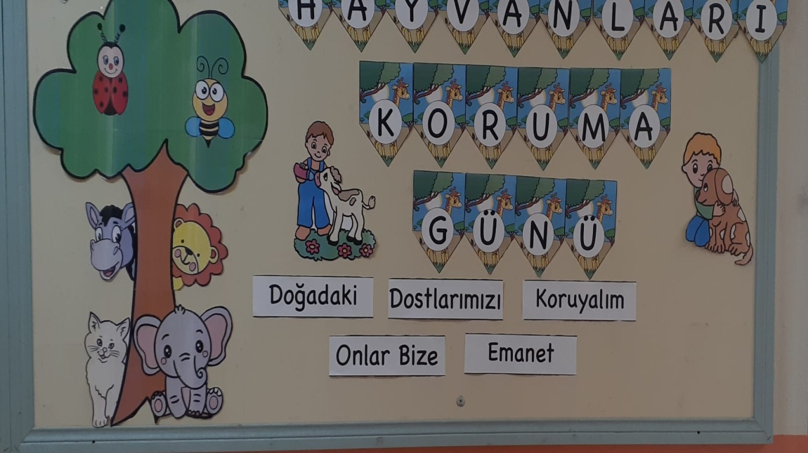 4 Ekim Hayvanları Koruma Günü Kutlu Olsun...